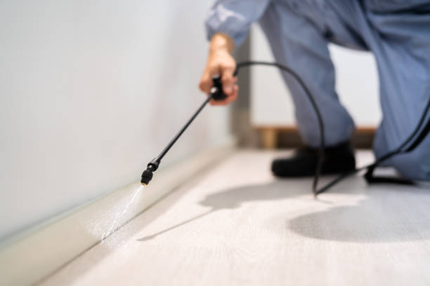 Licensed Cockroach Control service in Monroeville, IN - Nex Pest Control