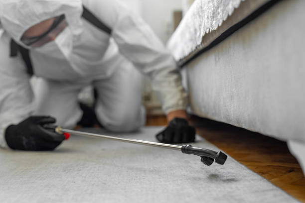 Professional Cockroach Control technician working in Monroeville, IN