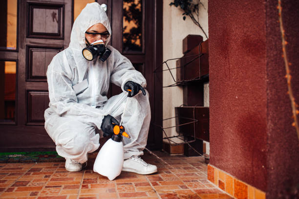 Reliable Cockroach Control contractor in Monroeville, IN by Nex Pest Control